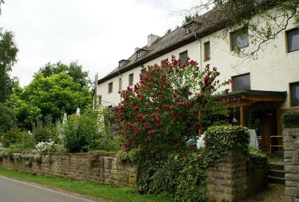 Hotel Altes Zollhaus Naehe Luxemburg à Ammeldingen an der Our Extérieur photo